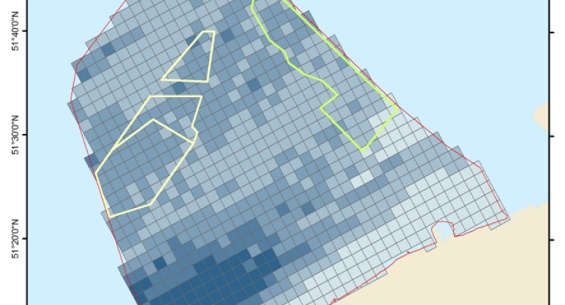 Combined sensitivity map for red-throated diver, northern gannet, common guillemot and razorbill. Darker blue indicates higher sensitivity to displacement by offshore wind farms.